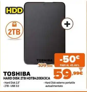 Expert Toshiba Hard Disk 2TB HDTB420EK3CA offerta