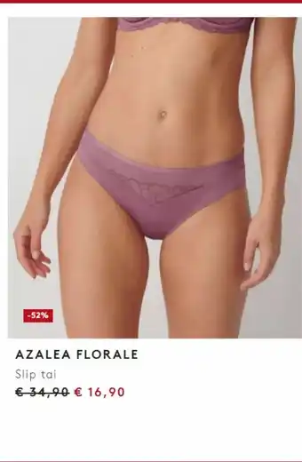 Triumph Slip tai offerta