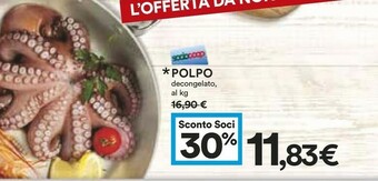Coop Polpo offerta