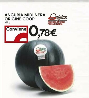Coop Anguria Midi Nera offerta