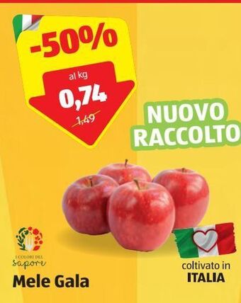 ALDI Mele gala offerta