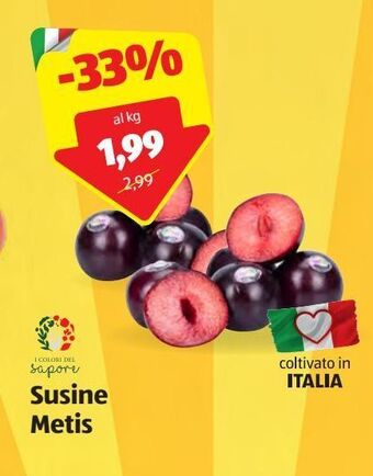 ALDI Susine metis offerta