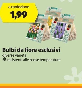 Bulbi da fiore esclusivi
