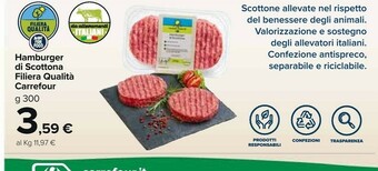 Carrefour Hamburger offerta
