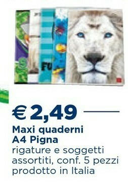 Esselunga Pigna Maxi Quaderno A4 M Team A offerta