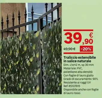 Leroy Merlin Traliccio Estensibile In Salice Naturale offerta