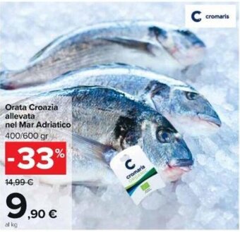 Carrefour Orata Croazia Allevata Nel Mar Adriatico 400/600 gr offerta