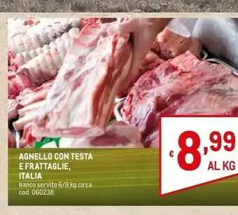 Metro Agnello offerta