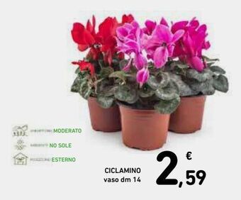 Spazio Conad Ciclamino offerta