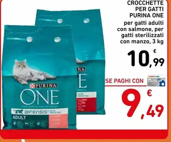 Spazio Conad Croccantini per gatti purina one offerta