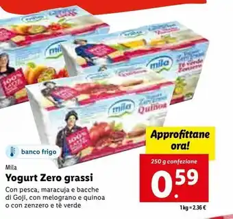 Lidl Yogurt zero grassi 250g offerta
