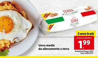 Lidl 12 uova medie da allevamento a terra offerta