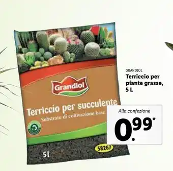 Lidl Terriccio per piante grasse 5 l offerta