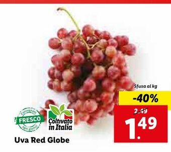 Uva red globe