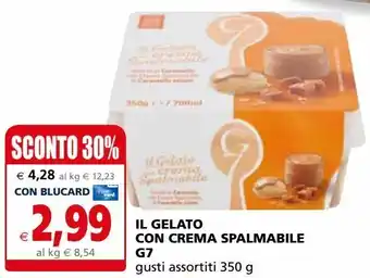 Il Gigante Il gelato con crema spalmabile g7 gusti assortiti offerta
