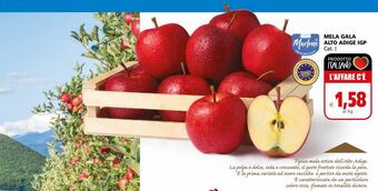 Il Gigante Mela gala alto adige igp offerta