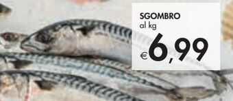 Bennet Sgombro offerta