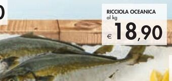 Bennet Ricciola oceanica offerta
