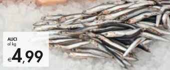 Bennet Alici offerta