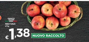 Bennet Mele gala offerta
