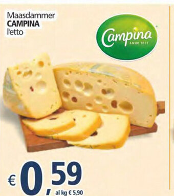 Alter Discount Campina Maasdammer offerta