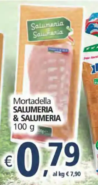 Salumeria & Salumeria Mortadella 100g