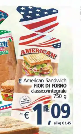 Alter Discount Fior Di Forno American Sandwich 750g offerta