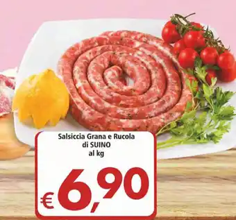 Alter Discount Di Suino Salsiccia Grana e Rucola offerta