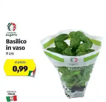 ALDI Basilico in vaso 9cm offerta