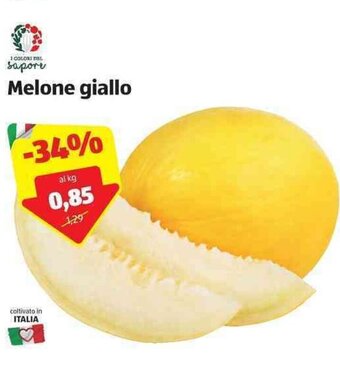 ALDI Melone giallo offerta