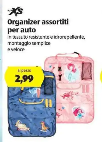 ALDI Organizer assortiti per auto offerta