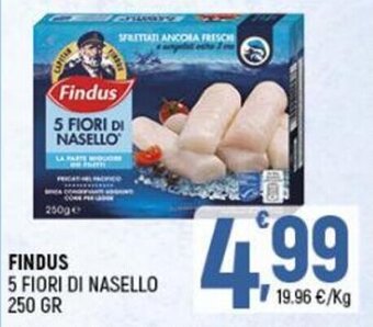 Ottimo Market Findus 5 Fiori di nasello 250 gr offerta
