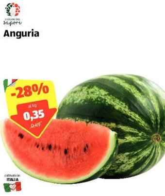 ALDI Anguria offerta