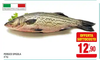 Persico Spigola