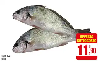 Ombrina