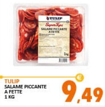 Rosa Cash Tulip Salame Piccante a fette 1 kg offerta