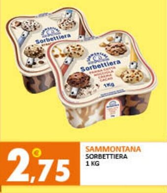 Rosa Cash Sammontana Sorbettiera 1 kg offerta