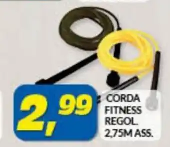 Risparmio Casa Corda Fitness Regol 2,75 M Ass offerta