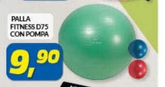 Risparmio Casa Palla Fitness D75 Con Pompa offerta