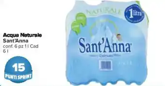 Sant'Anna Acqua Naturale 6 pz 1 l cad 6 l