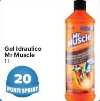 Carrefour Mr Muscle Gel Idraulico 1 l offerta