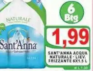 Gros Sant'anna Acqua Sant'Anna 6 x 1.5L offerta