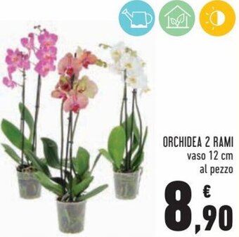 Conad Superstore Orchidea 2 rami offerta