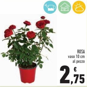 Conad Superstore Rosa offerta