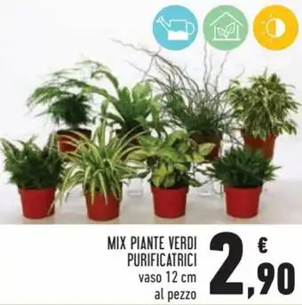 Conad Superstore Mix Piante Verdi Purificatrici offerta