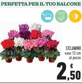 Conad Superstore Ciclamino offerta
