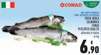 Conad Conad Percorso Qualità Trota Iridea Salmonata offerta