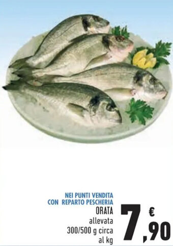 Conad Orata 300/500 g offerta