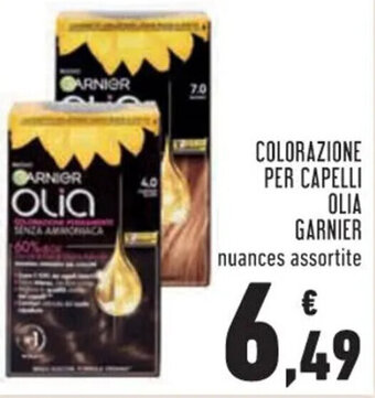 Conad Garnier Colorazione per Capelli offerta