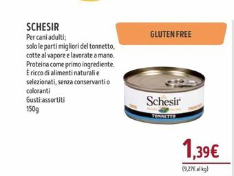 Il Gigante Schesir offerta